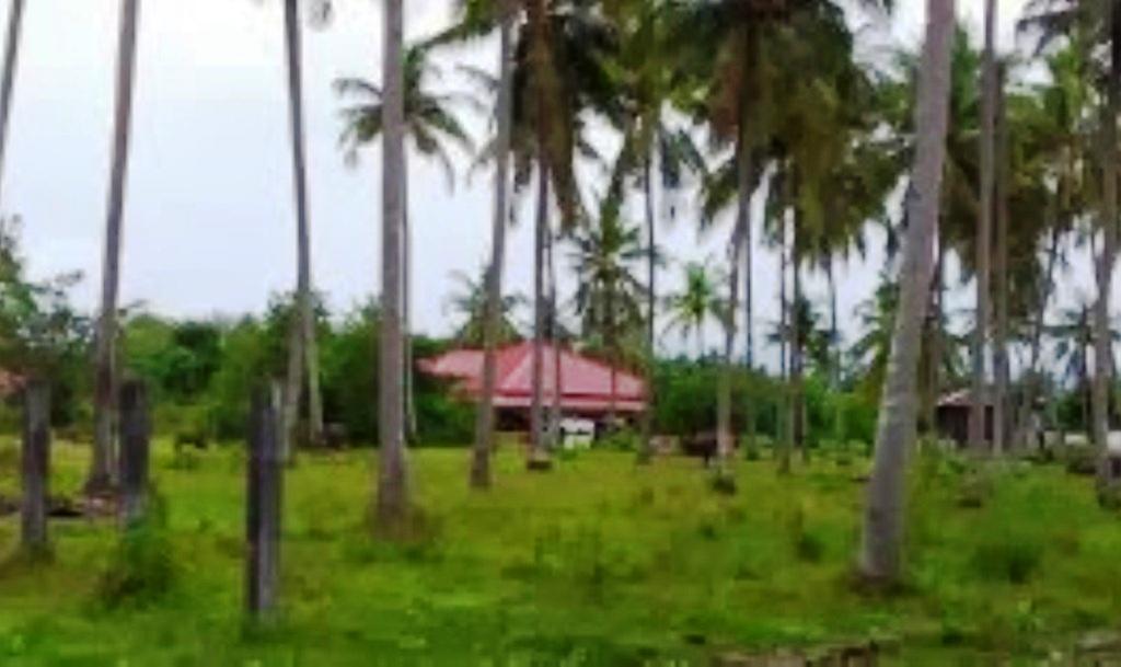The Village Langkawi Pantai Cenang (Langkawi) Exterior foto