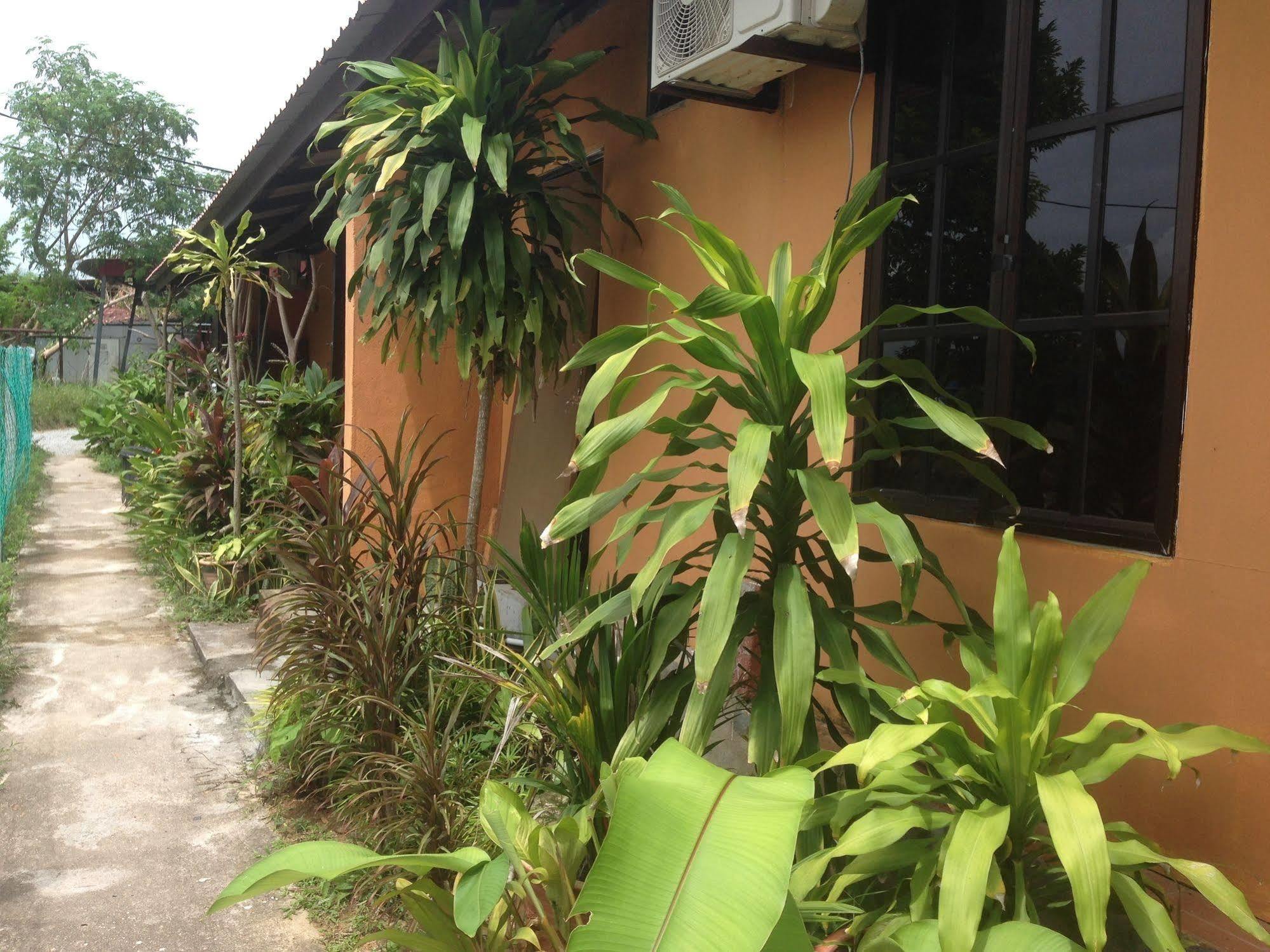 The Village Langkawi Pantai Cenang (Langkawi) Exterior foto